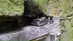 acastle
                          102960.jpg